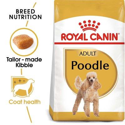 ROYAL CANIN Poodle Adult Hundefutter trocken für Pudel ROYAL CANIN Poodle Adult Hundefutter trocken für Pudel