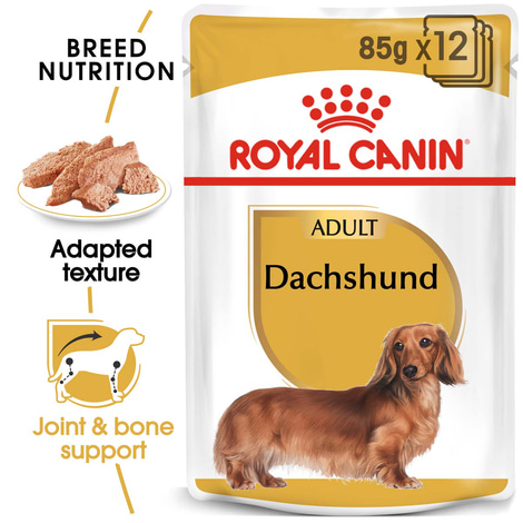 Meer dan wat dan ook jungle Distilleren ROYAL CANIN Dachshund Adult Hundefutter nass für Dackel 12x85g