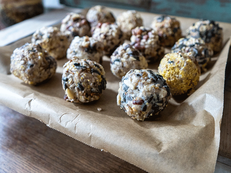 Meisenknödel auf Backpapier