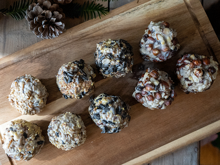 Meisenknödel selber machen