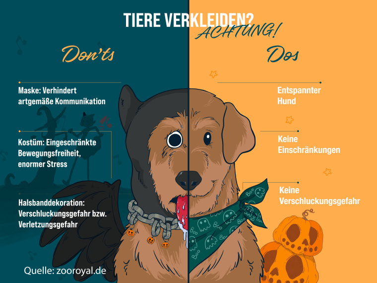 Halloween Hundekostüm