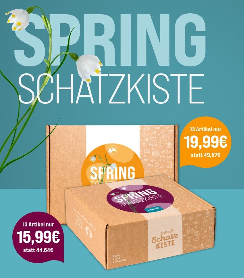 Spring Schatzkiste für Hunde und Katzen