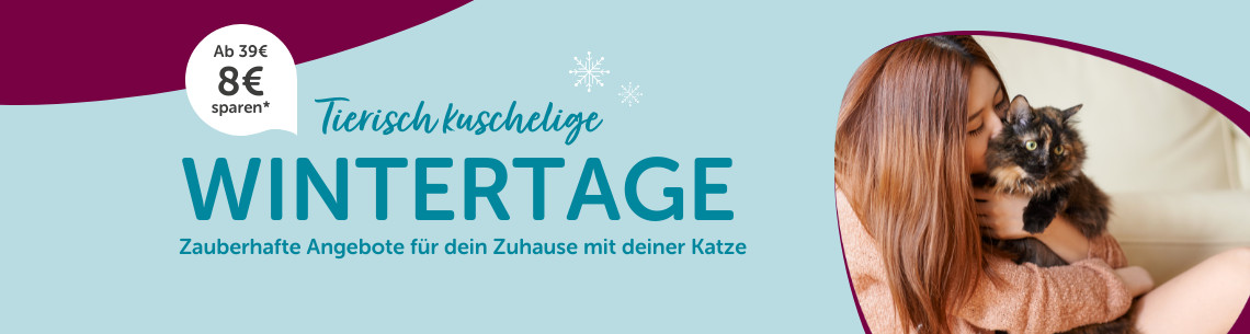 Kuschelige Wintertahe Katze