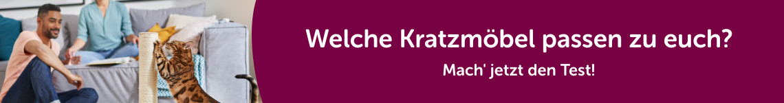 Kratzbaumtypcheck