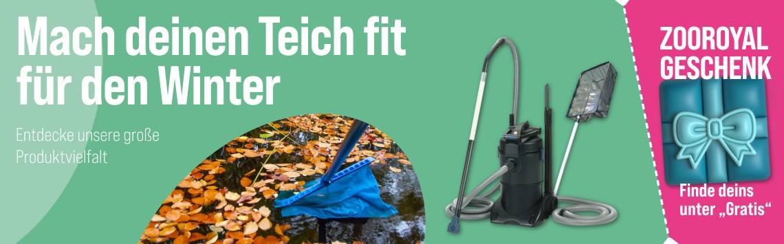 Fit für den Winter