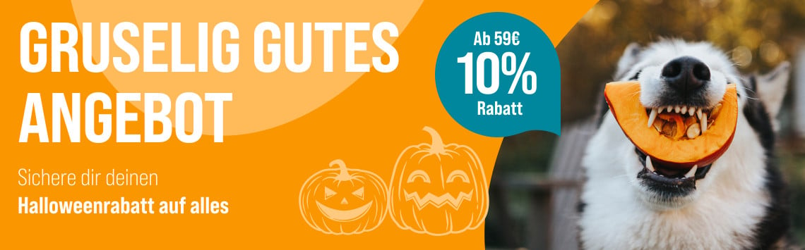 10% Rabatt auf alles