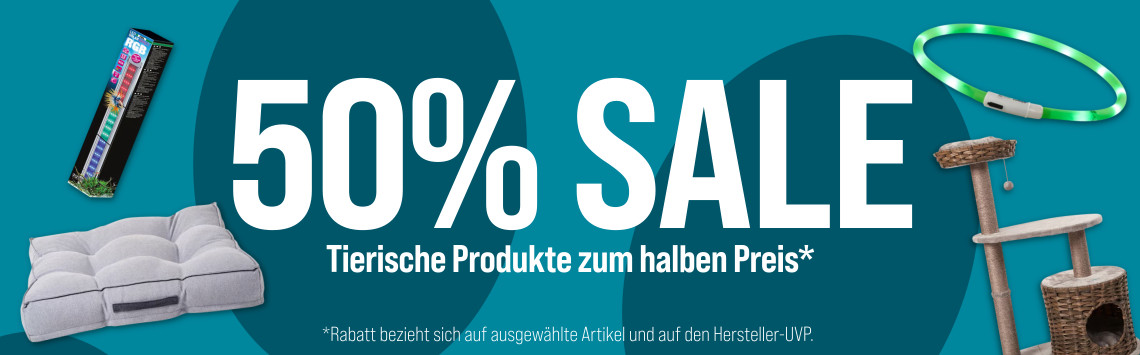 Großer Zubehör Sale