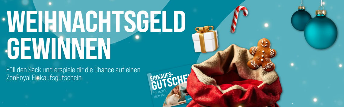 Advents-Gewinnspiel