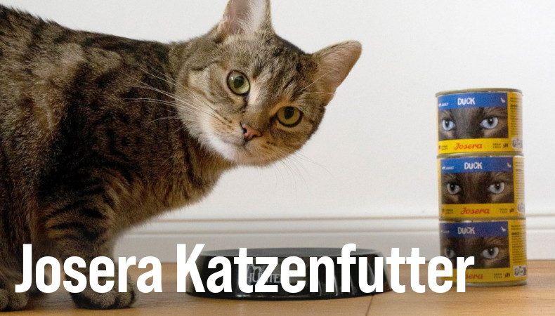 Josera Exklusiv Katzenfutter