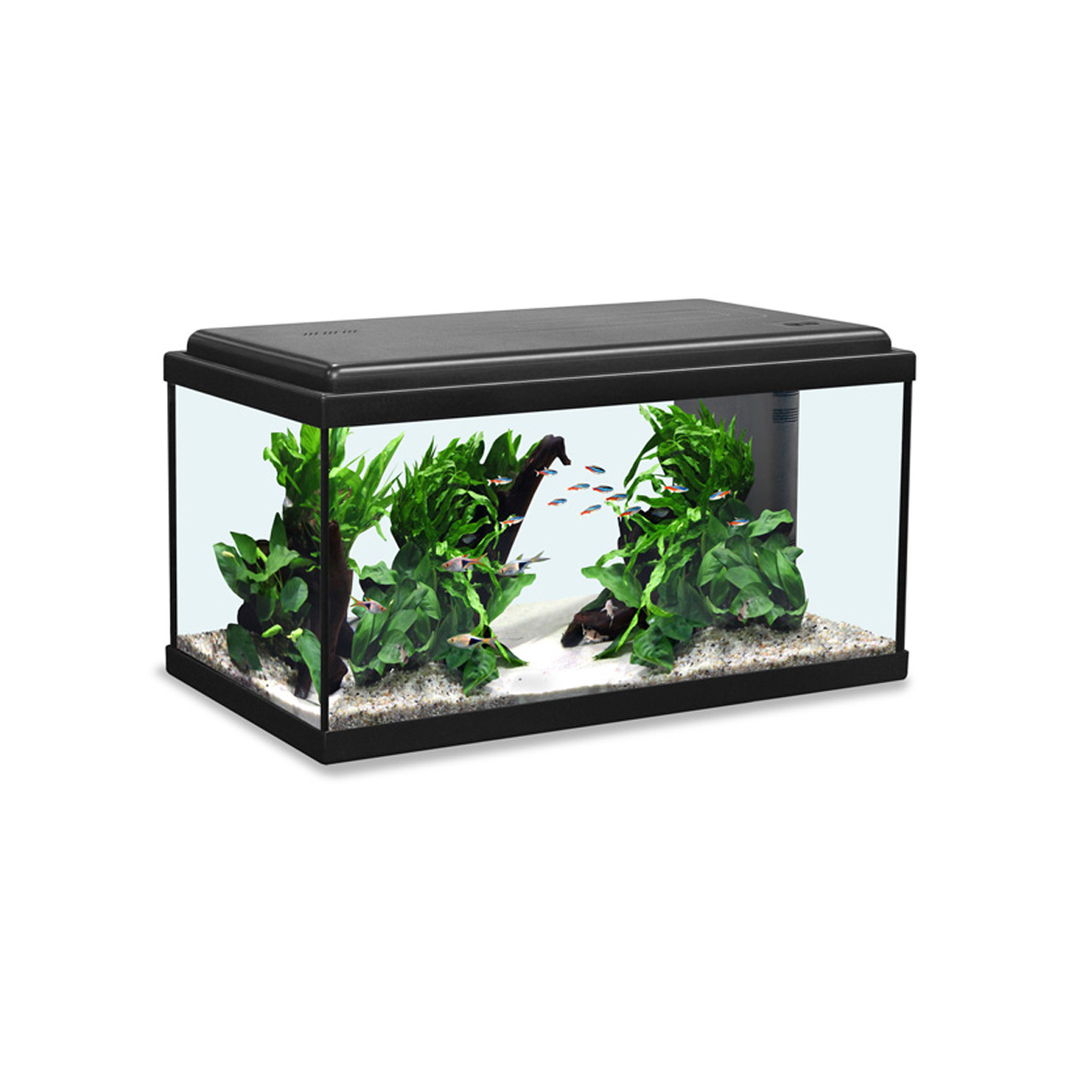 Aquatlantis Aquarium Advance LED 60