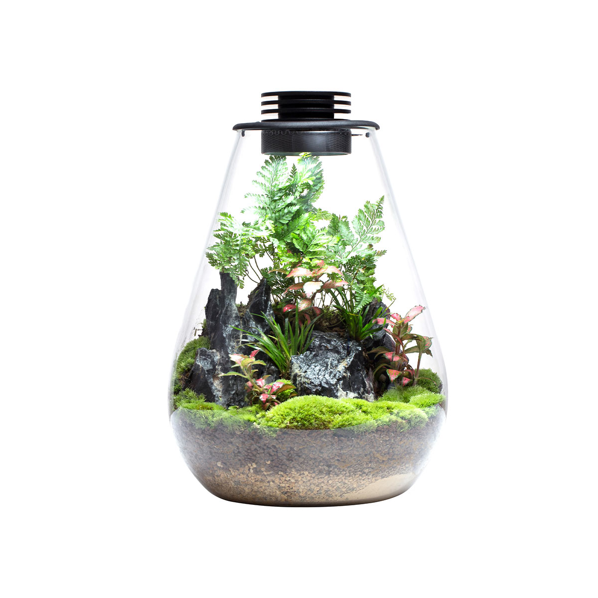 Bioloark Bio Bottle SD