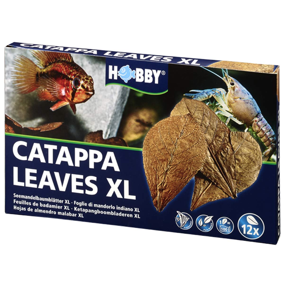 Hobby Catappa Leaves XL 12 Stück