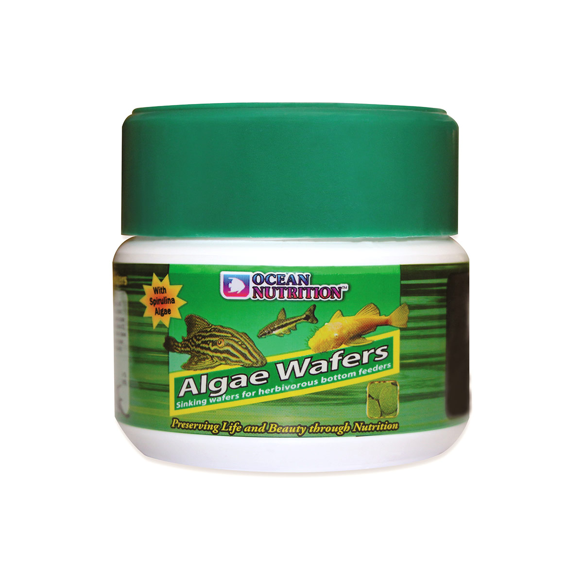 Ocean Nutrition Algae Wafers