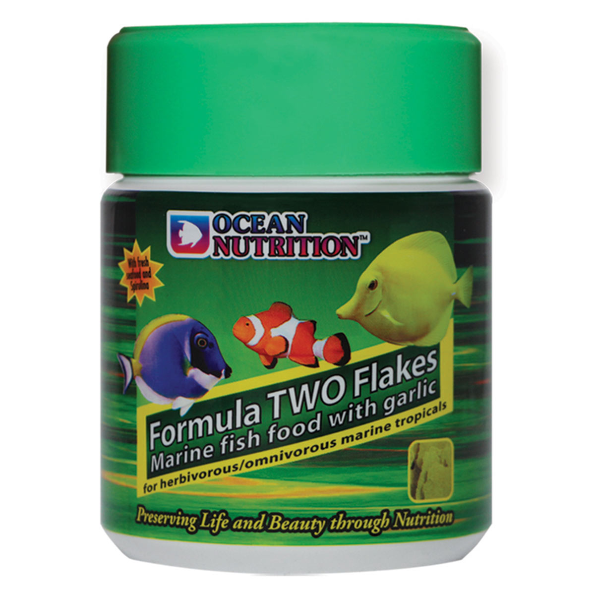 Ocean Nutrition Formula TWO Flakes