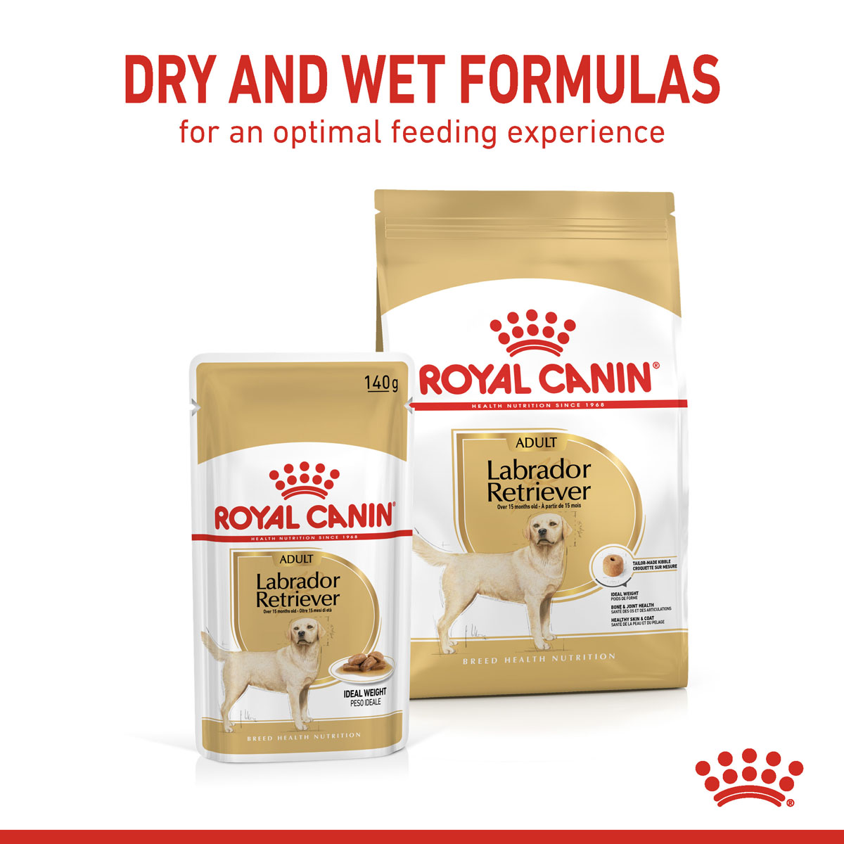 ROYAL CANIN Labrador Retriever Adult 3kg + Labrador Adult in Soße 10x140g