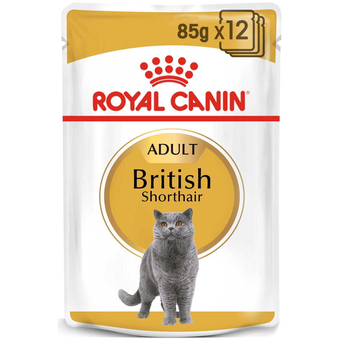 ROYAL CANIN British Shorthair Adult Katzenfutter nass für Britisch Kurzhaar 12x85g