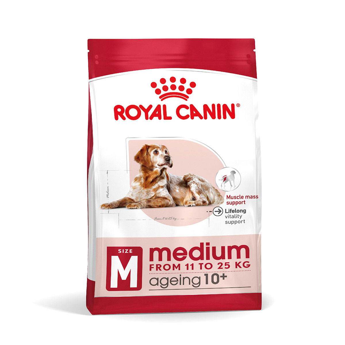 ROYAL CANIN MEDIUM Ageing 10+ Trockenfutter für ältere mittelgroße Hunde